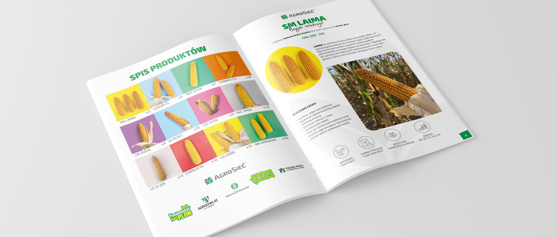 katalog kukurydza projekt produkt