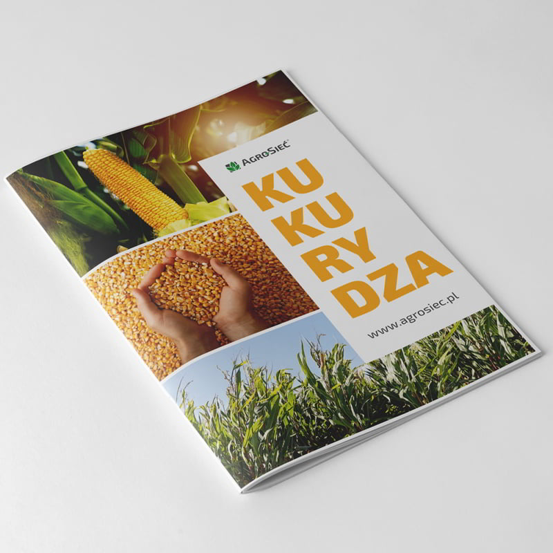 katalog-mockup